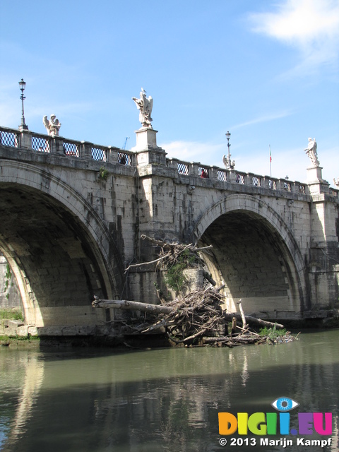 SX31818 Trees washed up onto Ponte Sant' Angelo